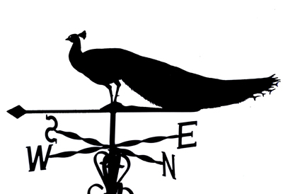 Peacock weather vane